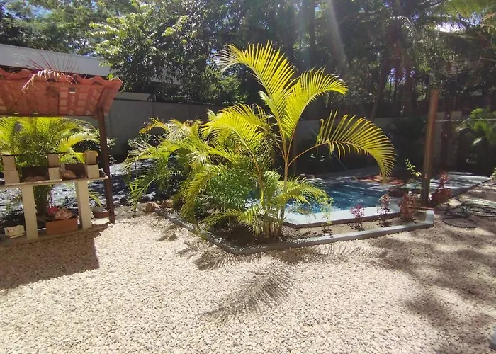 Tabasco Hotel Playa Flamingo